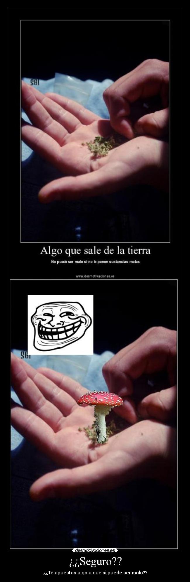 ¿¿Seguro?? - ¿¿Te apuestas algo a que si puede ser malo??