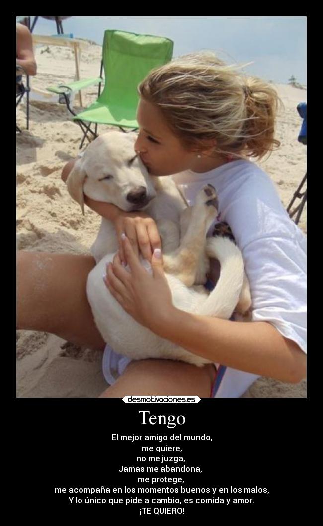 Tengo - El mejor amigo del mundo,
me quiere,
no me juzga, 
Jamas me abandona, 
me protege, 
me acompaña en los momentos buenos y en los malos,
Y lo único que pide a cambio, es comida y amor.
¡TE QUIERO!