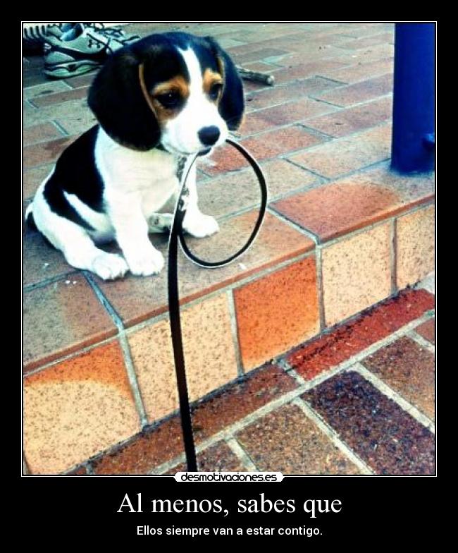 Al menos, sabes que - 