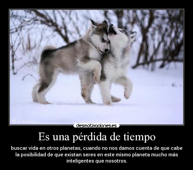 Es una pérdida de tiempo - buscar vida en otros planetas, cuando no nos damos cuenta de que cabe
la posibilidad de que existan seres en este mismo planeta mucho más
inteligentes que nosotros.