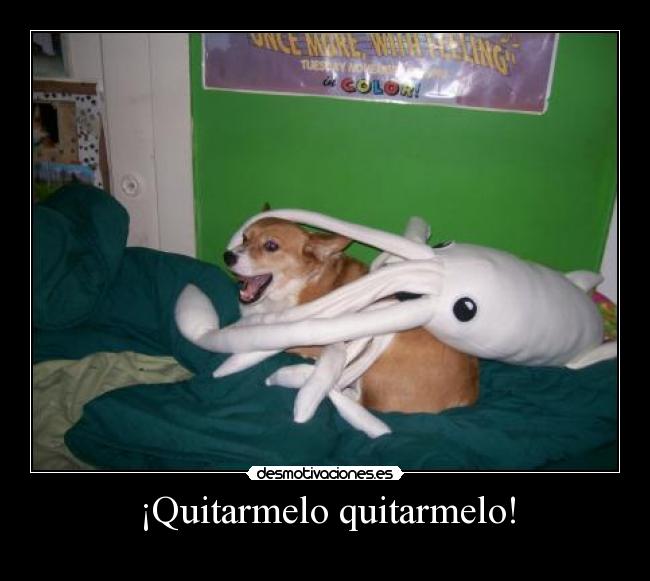 carteles drg desmotivaciones