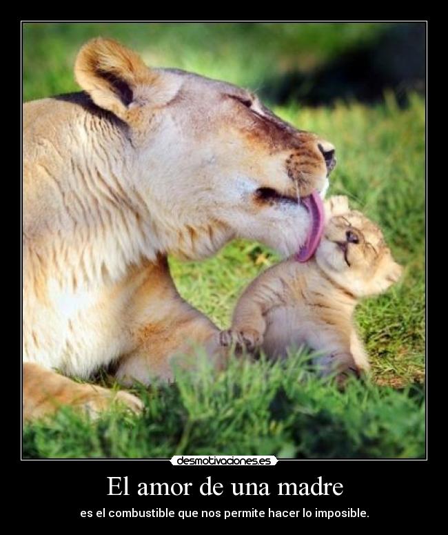 carteles amor madre desmotivaciones