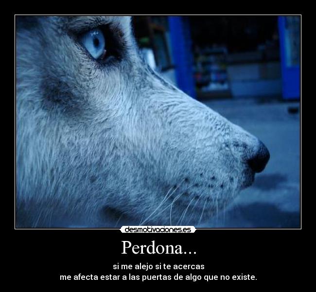 Perdona... -
