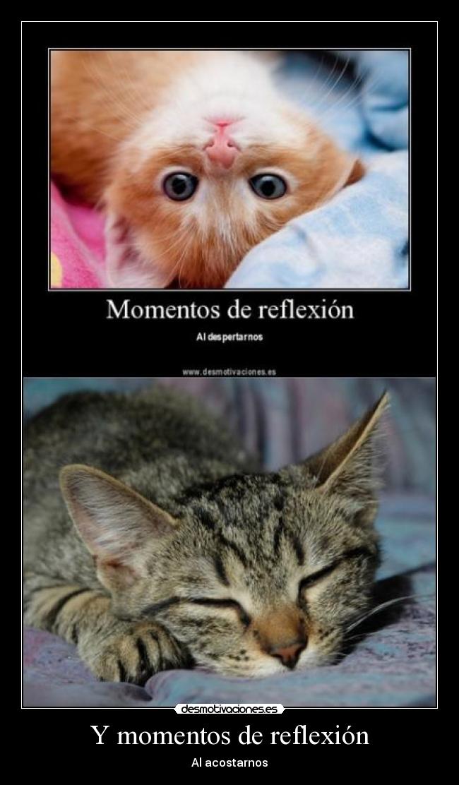 Y momentos de reflexión - Al acostarnos