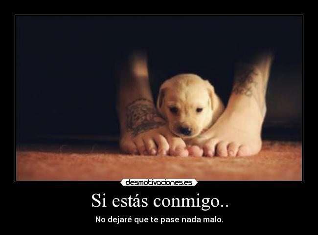 Si estás conmigo.. - No dejaré que te pase nada malo.