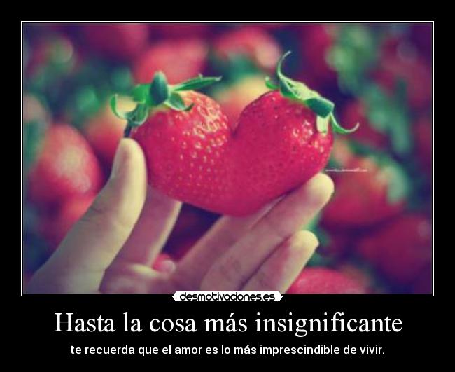 Hasta la cosa más insignificante - 