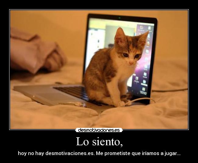 Lo siento, - 