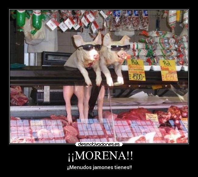 ¡¡MORENA!! - ¡¡Menudos jamones tienes!!