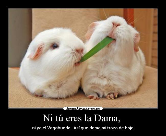 Ni tú eres la Dama, - ni yo el Vagabundo. ¡Así que dame mi trozo de hoja!