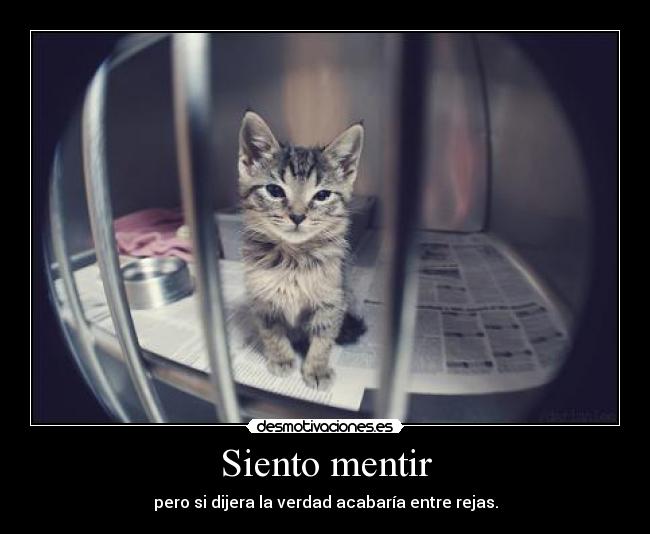 Siento mentir - pero si dijera la verdad acabaría entre rejas.