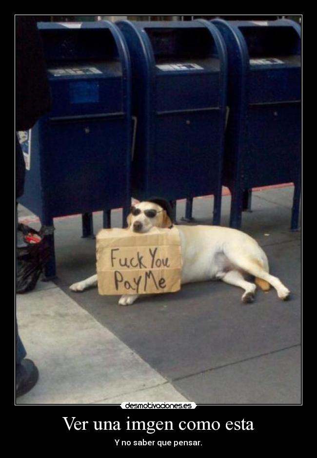 Ver una imgen como esta -