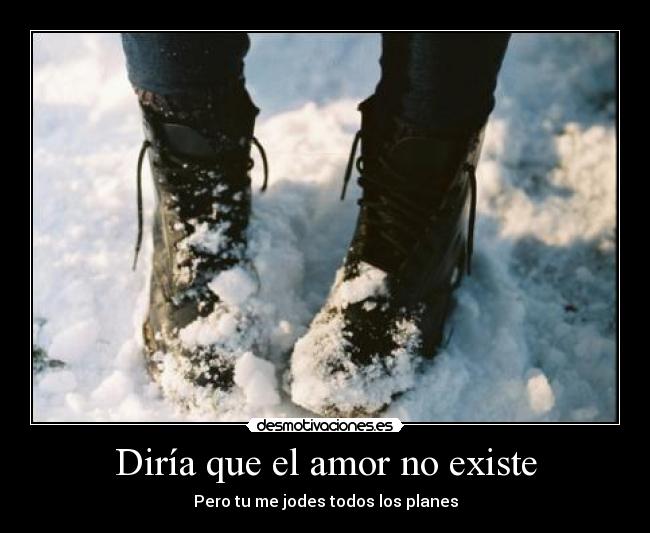 Diría que el amor no existe -