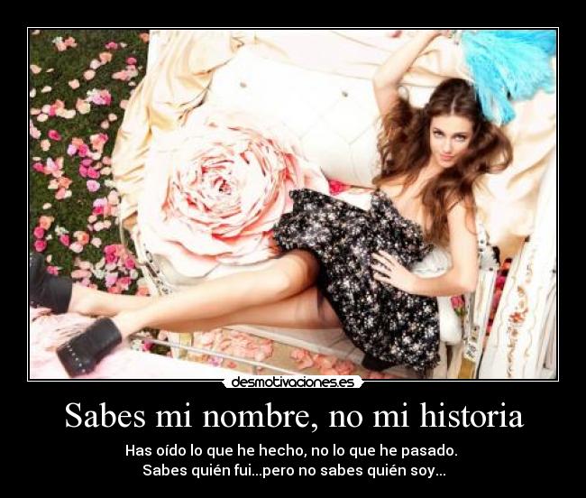 carteles historia elena gomez desmotivaciones
