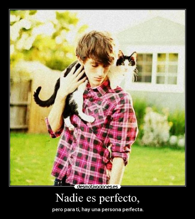 Nadie es perfecto, - 