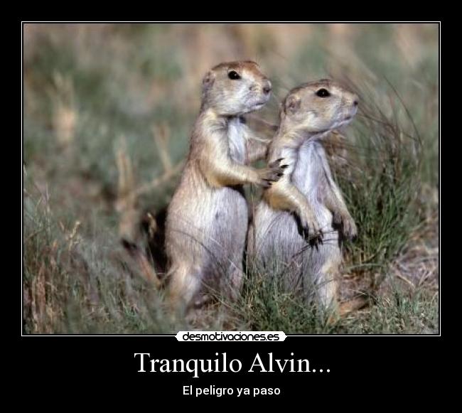 Tranquilo Alvin... - El peligro ya paso