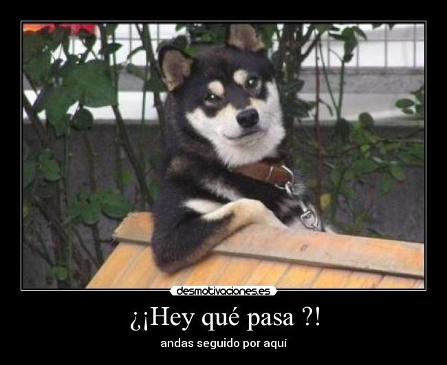 ¿¡Hey qué pasa ?! - 