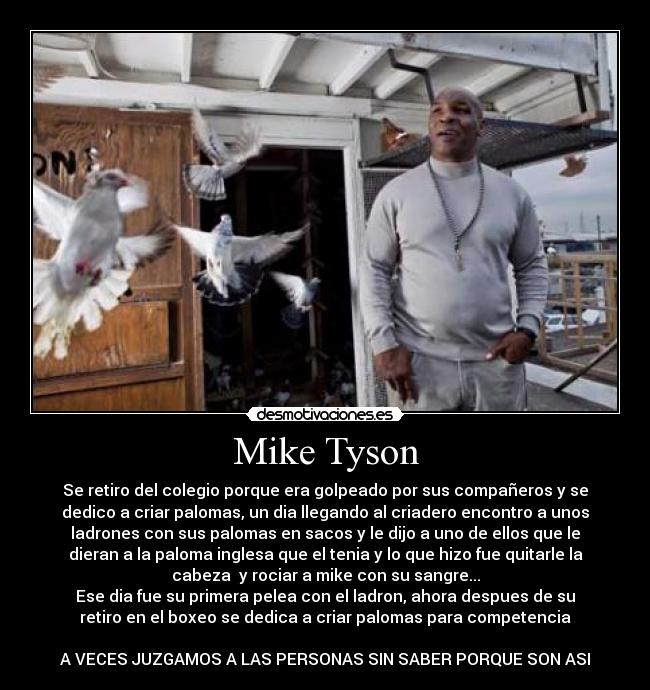 Mike Tyson - Se retiro del colegio porque era golpeado por sus compañeros y se
dedico a criar palomas, un dia llegando al criadero encontro a unos
ladrones con sus palomas en sacos y le dijo a uno de ellos que le
dieran a la paloma inglesa que el tenia y lo que hizo fue quitarle la
cabeza  y rociar a mike con su sangre...
Ese dia fue su primera pelea con el ladron, ahora despues de su
retiro en el boxeo se dedica a criar palomas para competencia

A VECES JUZGAMOS A LAS PERSONAS SIN SABER PORQUE SON ASI