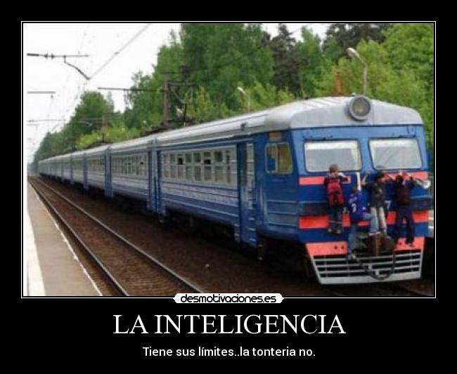 LA INTELIGENCIA - Tiene sus límites..la tonteria no.