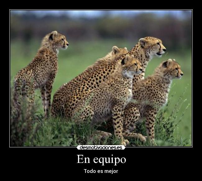 En equipo - Todo es mejor