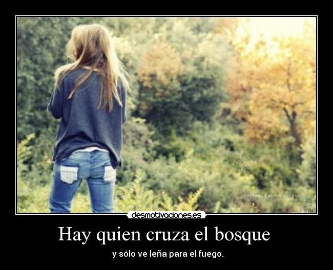 Hay quien cruza el bosque - y sólo ve leña para el fuego.