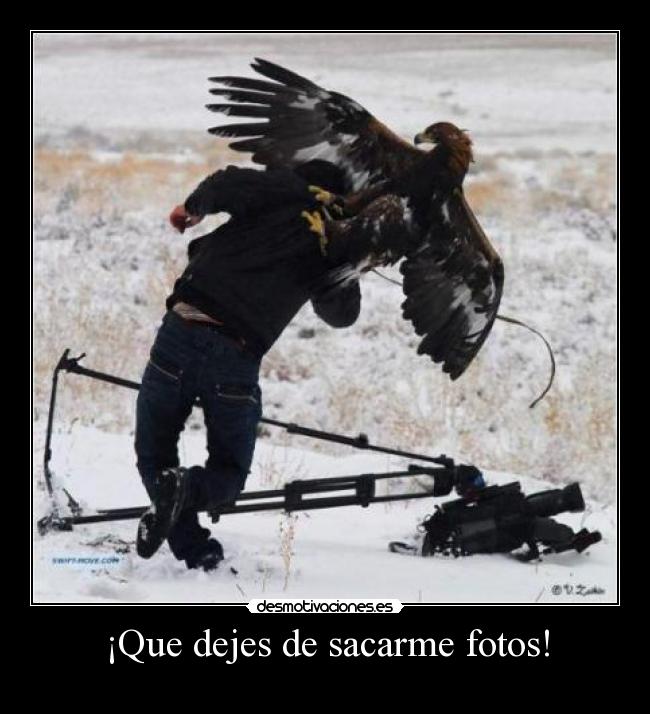 ¡Que dejes de sacarme fotos! - 