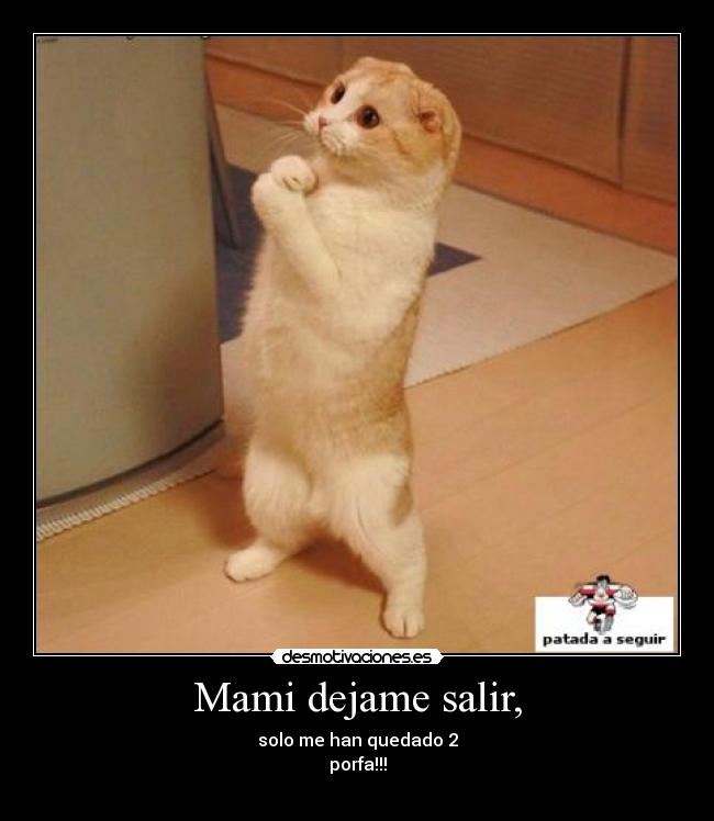 Mami dejame salir, -
