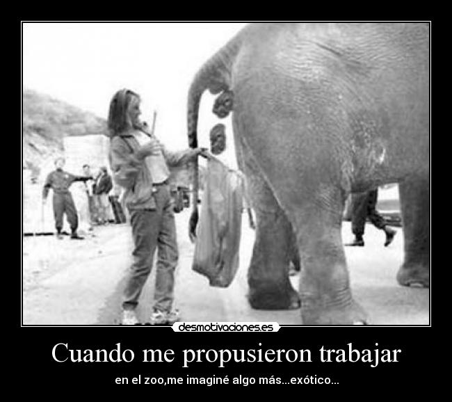 Cuando me propusieron trabajar - 