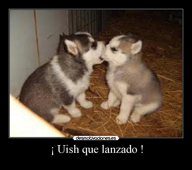 ¡ Uish que lanzado ! - 