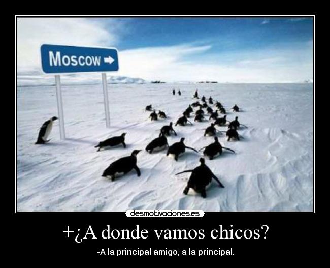 +¿A donde vamos chicos? - 