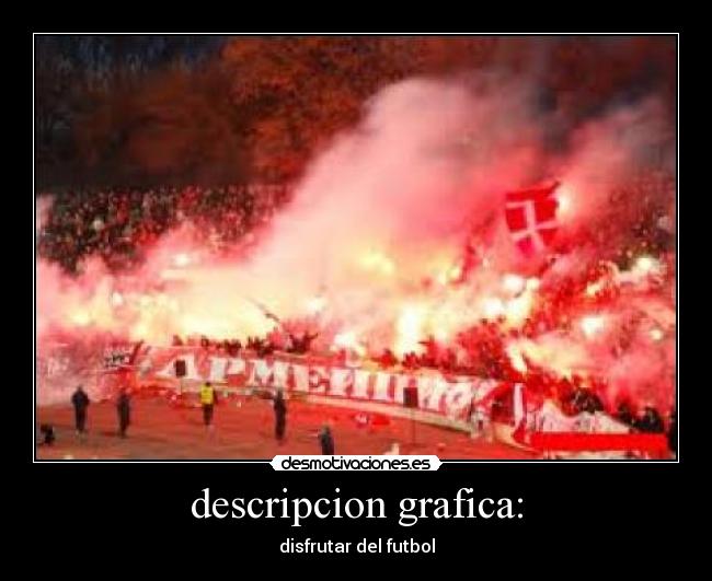 descripcion grafica: - 