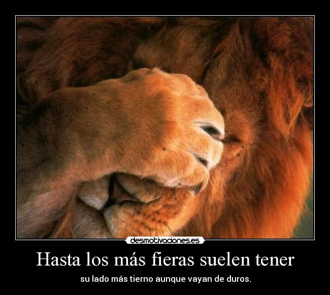 Hasta los más fieras suelen tener -