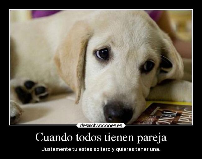 Cuando todos tienen pareja -