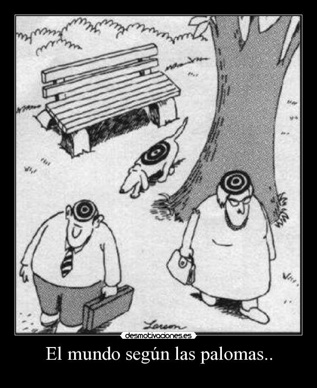 El mundo según las palomas.. - 