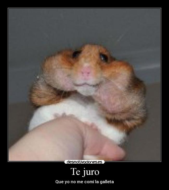 Te juro - Que yo no me comí la galleta