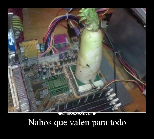 Nabos que valen para todo -
