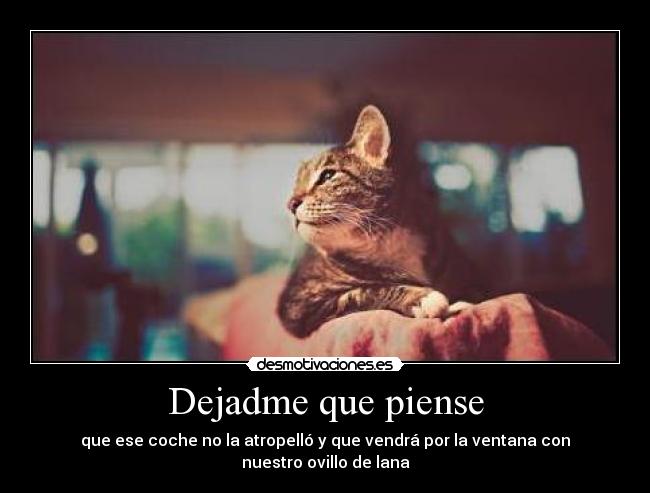 Dejadme que piense - que ese coche no la atropelló y que vendrá por la ventana con nuestro ovillo de lana