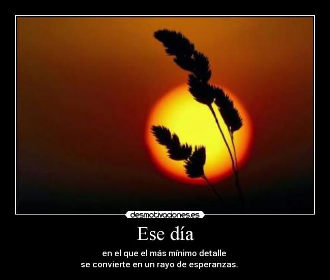 Ese día - en el que el más mínimo detalle 
se convierte en un rayo de esperanzas.      