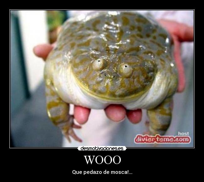 WOOO -