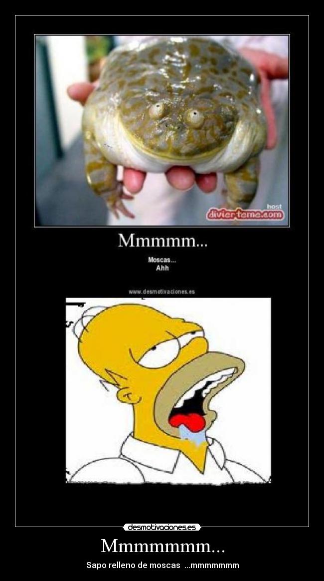 Mmmmmmm... - Sapo relleno de moscas  ...mmmmmmm