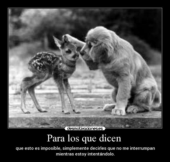 Para los que dicen  - que esto es imposible, simplemente decirles que no me interrumpan
mientras estoy intentándolo.