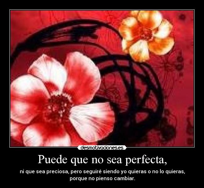 Puede que no sea perfecta, -