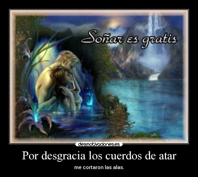 carteles sonar desmotivaciones