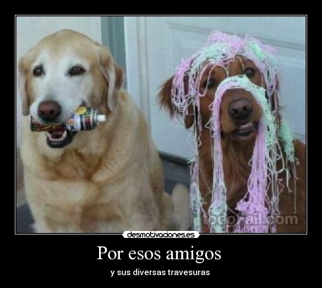 Por esos amigos - y sus diversas travesuras