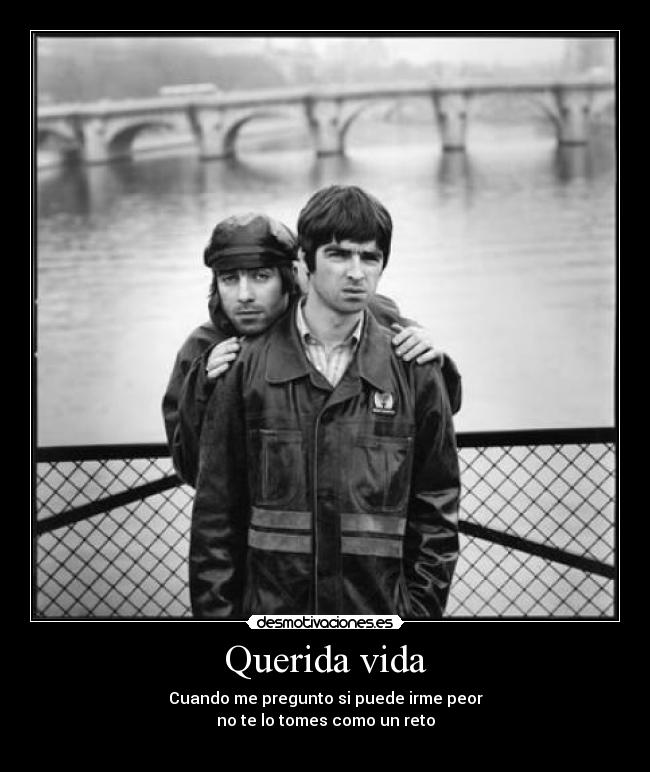 Querida vida - 