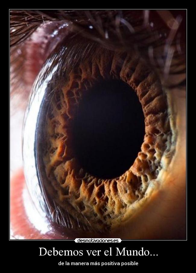 Debemos ver el Mundo... - 