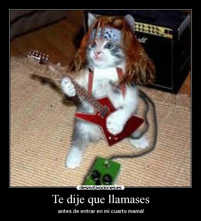 carteles gato metal rock musica musico cuarto guitarra desmotivaciones