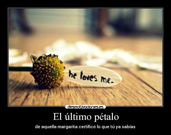 carteles amor desmotivaciones