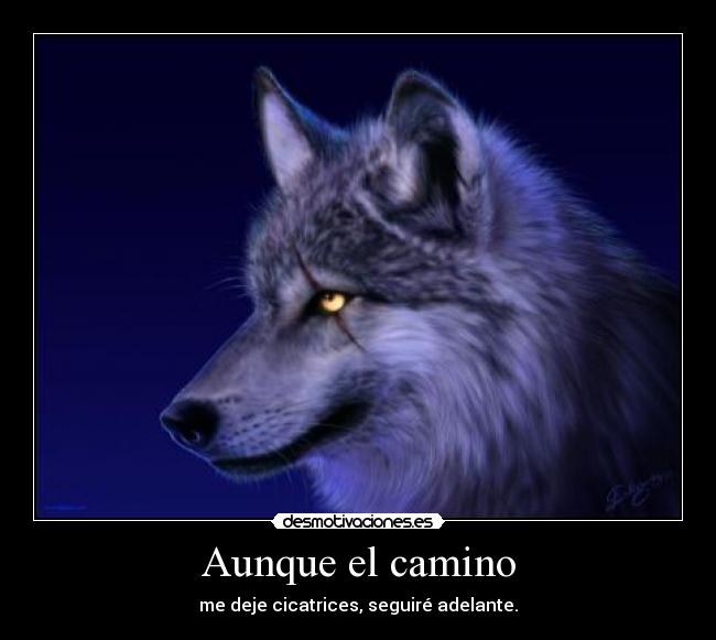 Aunque el camino - me deje cicatrices, seguiré adelante.
