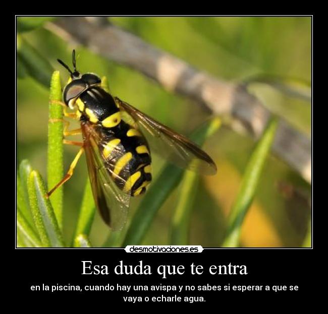 Esa duda que te entra -