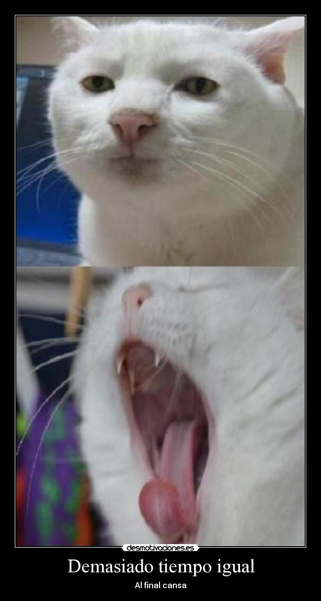 carteles cansa desmotivaciones